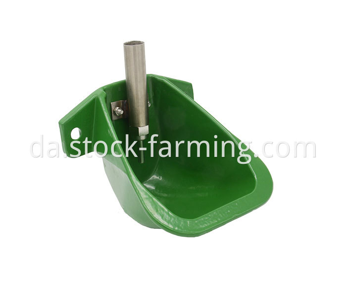 Drinking Bowl For Cattle